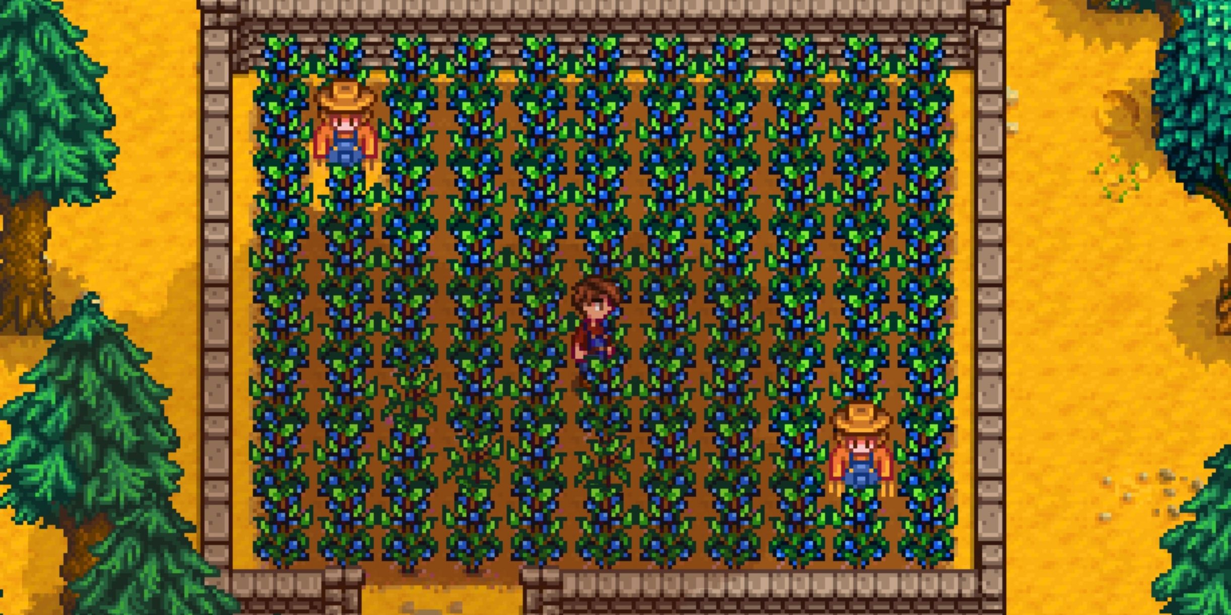 Stardew Valley Best Crops For Each Season