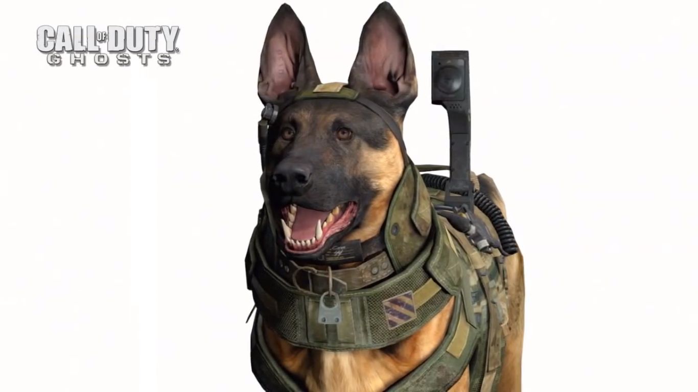 Call of Duty Ghosts - Riley 2