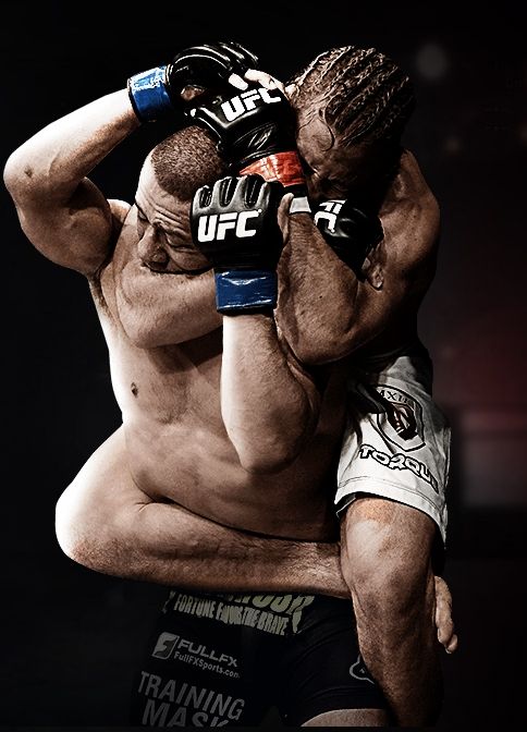 UFC - Full-Body Deformation