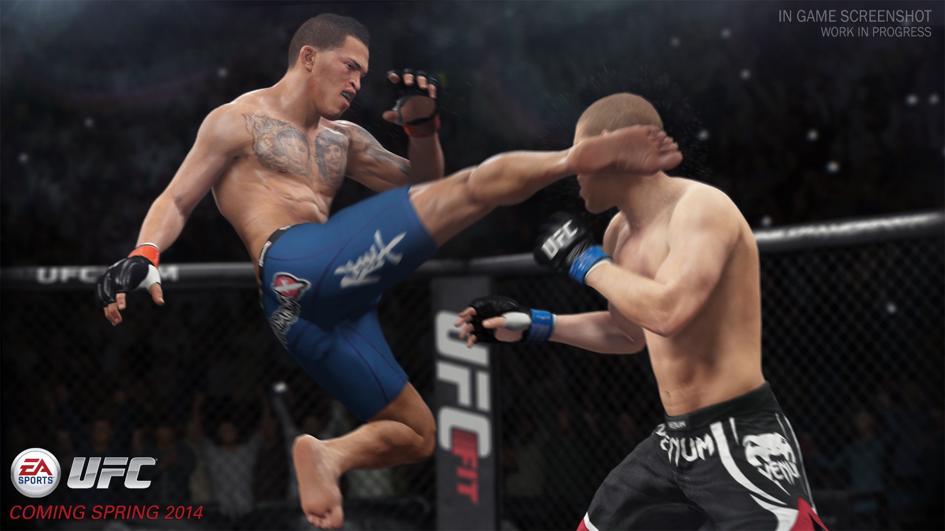 EA Sports UFC - 01