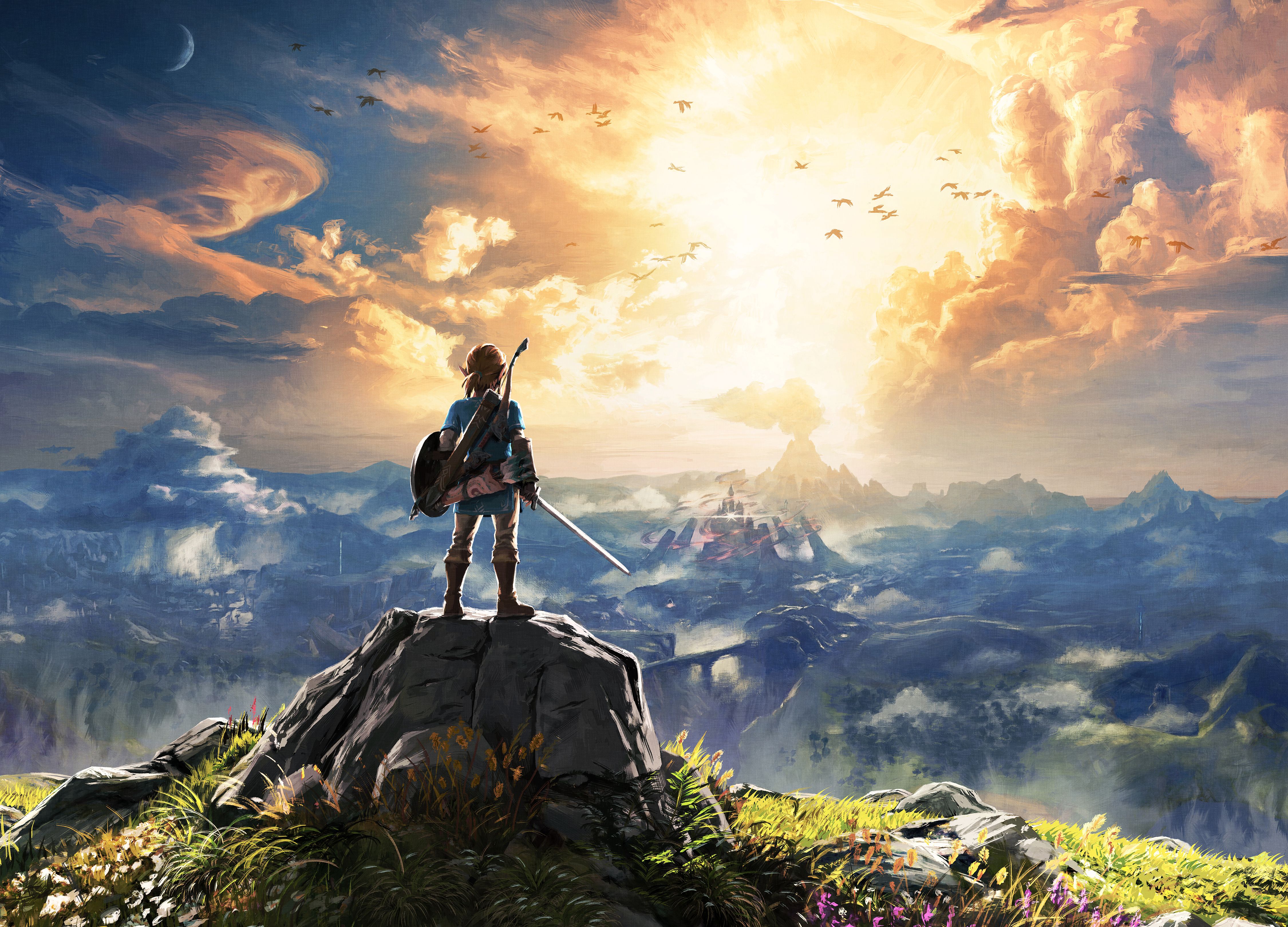 Nintendo Switch The Legend of Zelda Breath of the Wild illustration