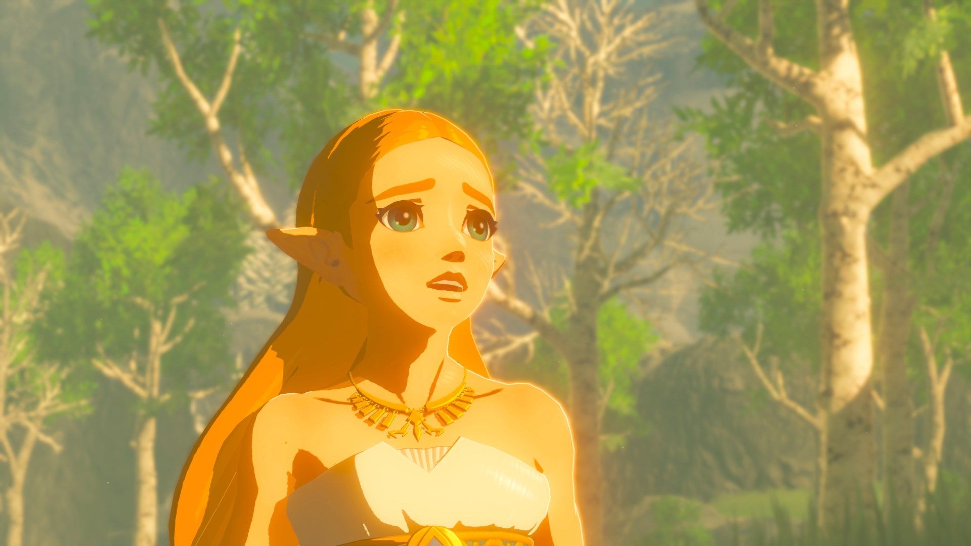 Nintendo, Switch, The Legend of Zelda: Breath of the Wild, the legend of zelda: breath of the wild 2