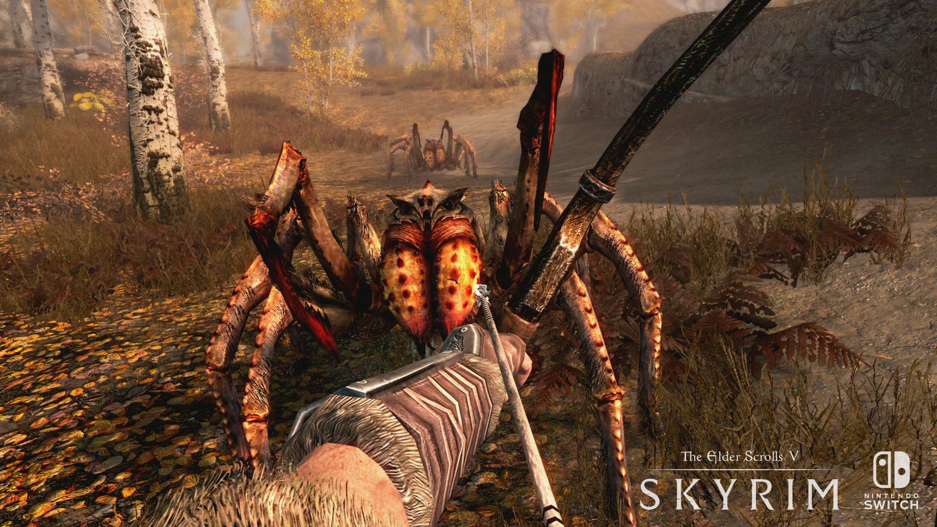 The Elder Scrolls V: Skyrim for Nintendo Switch Gets New