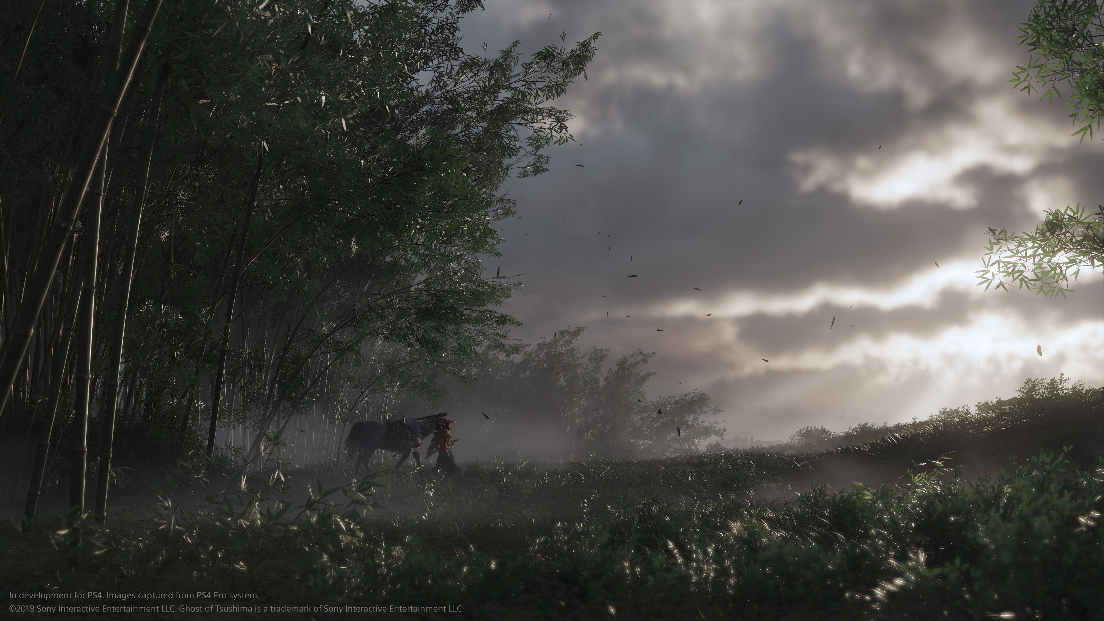 ghost of tsushima frame generation black screen