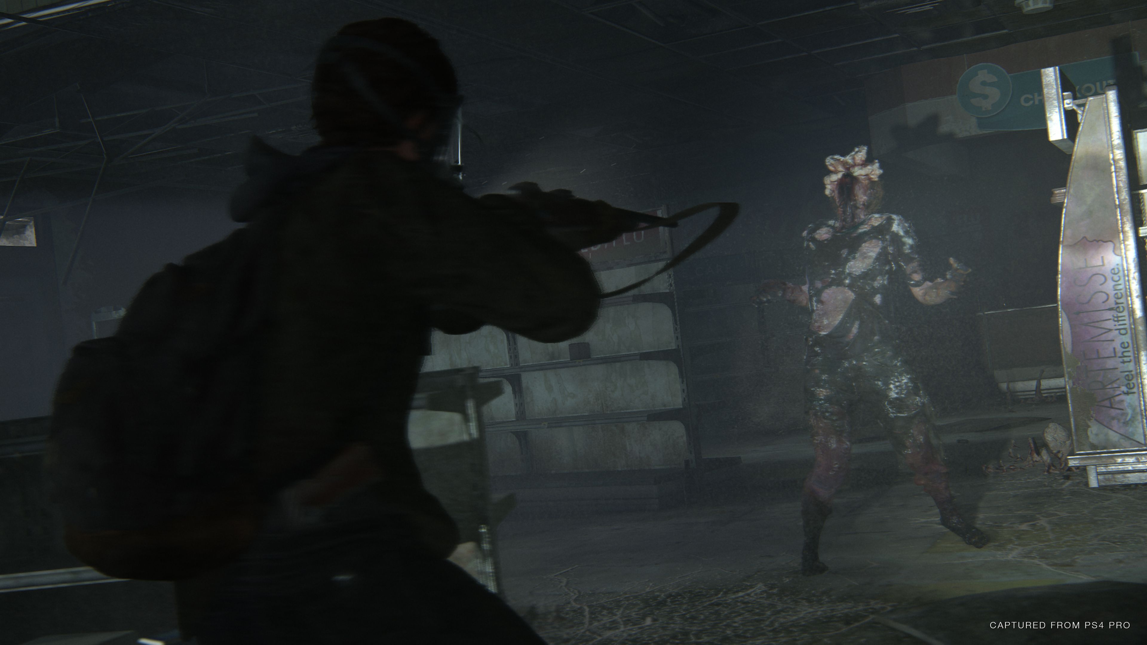 The Last of Us Part II Game Screenshots