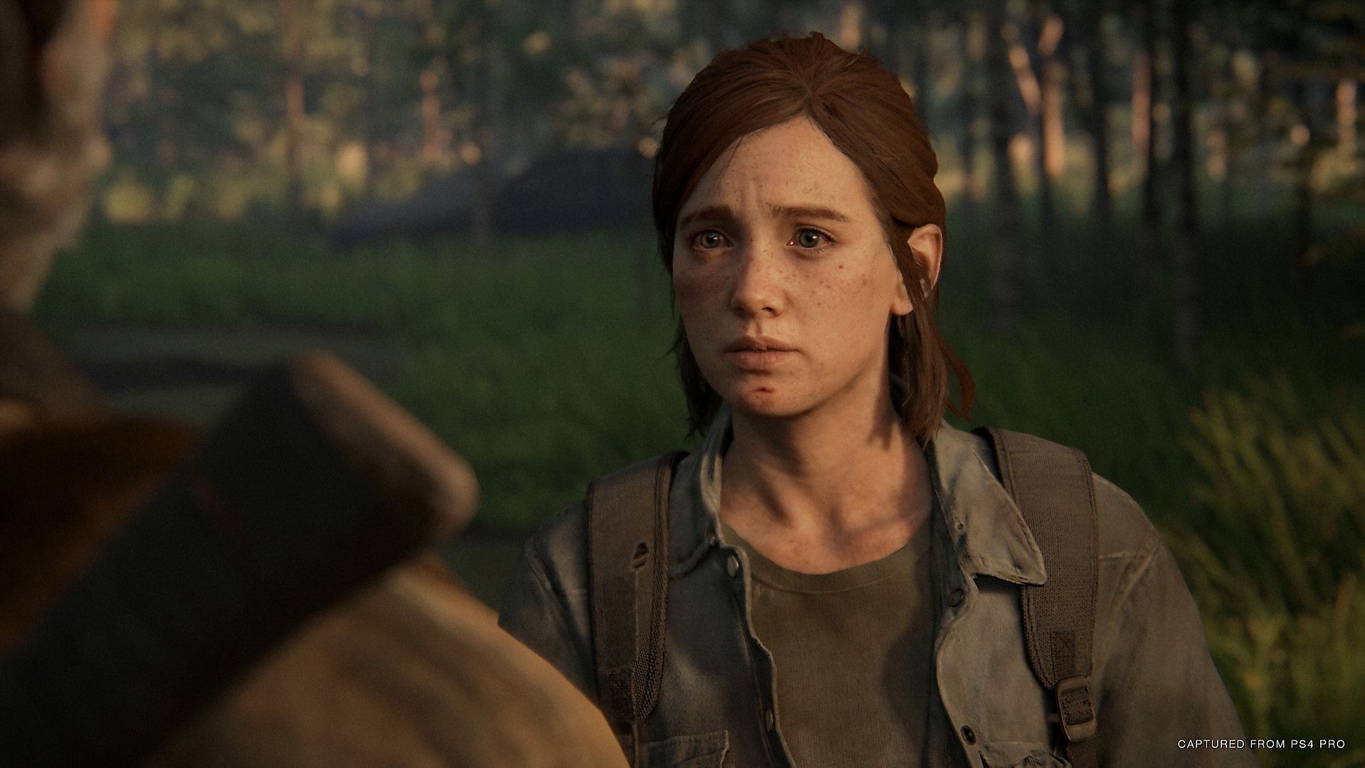 Naughty Dog, PlayStation, PlayStation 4, PS4, Sony, the last of us, the last of us: part 2, The Last of Us: Part II, tlou, TLoU 2, tlou ii, tlou part 2