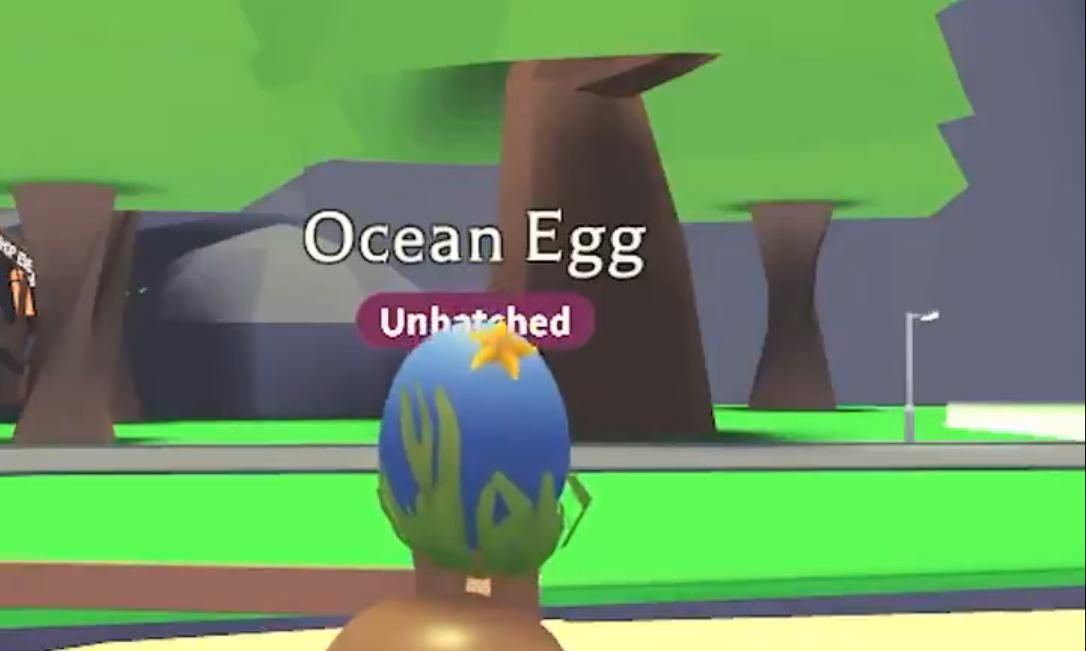Adopt Me Ocean Egg release date: When is the Ocean Egg coming to Adopt Me  pets?, Gaming, Entertainment