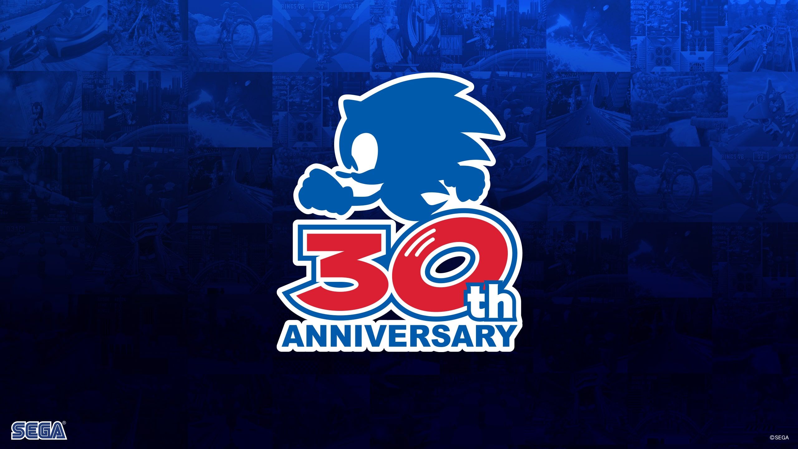 Sonic 30th Anniversary Banner