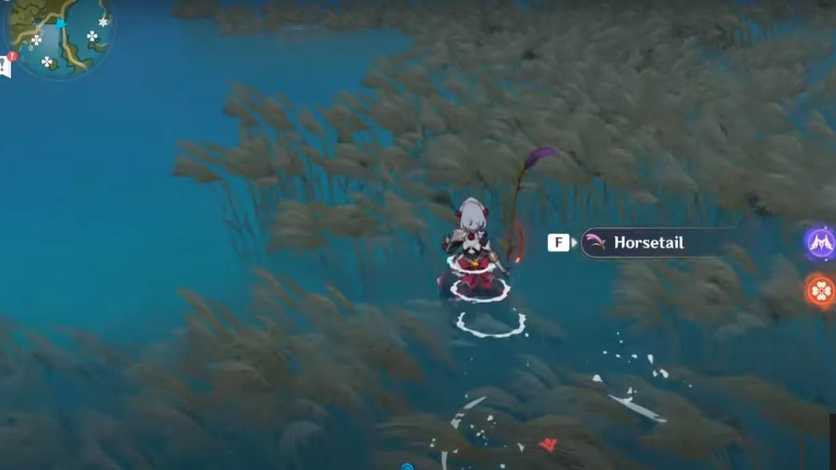 Genshin Impact How To Get Horsetail And Use It