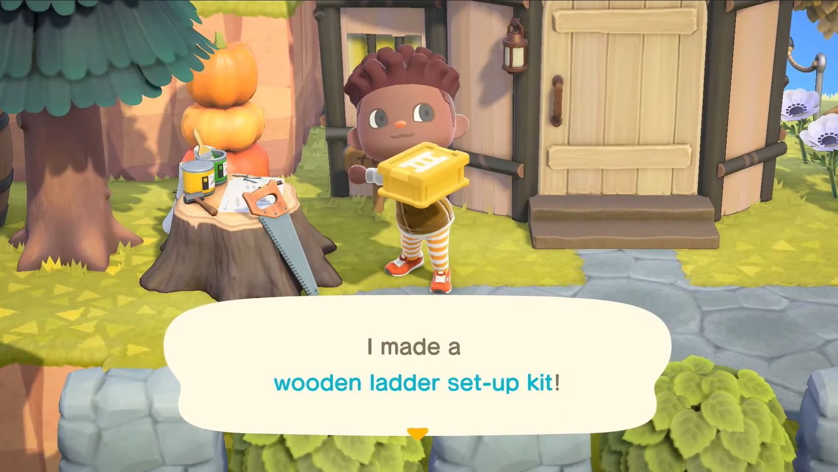 Animal Crossing New Horizons Permanent Ladder