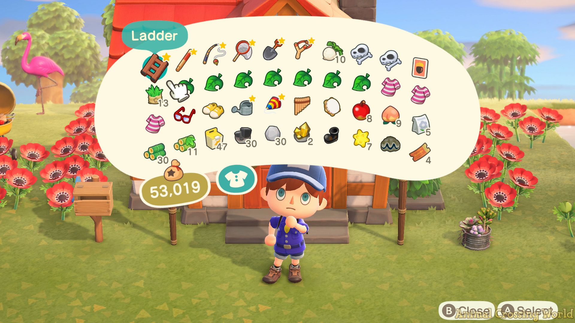 AC:NH Player with Full Inventory