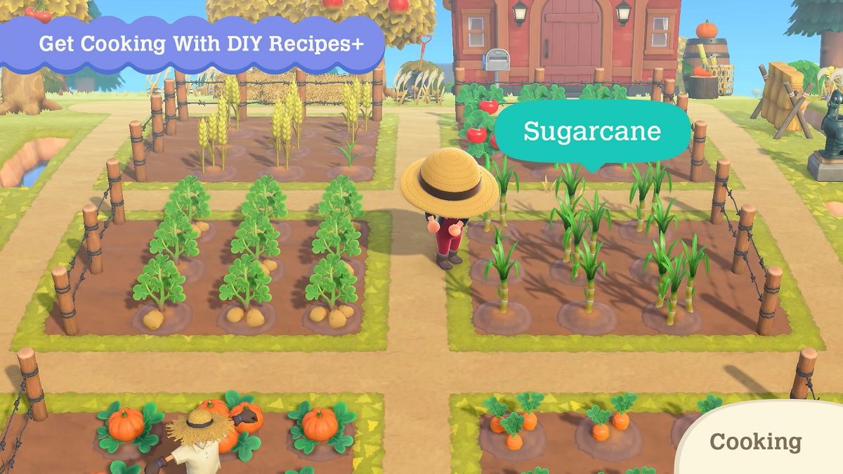 Animal Crossing New Horizons Sugarcane