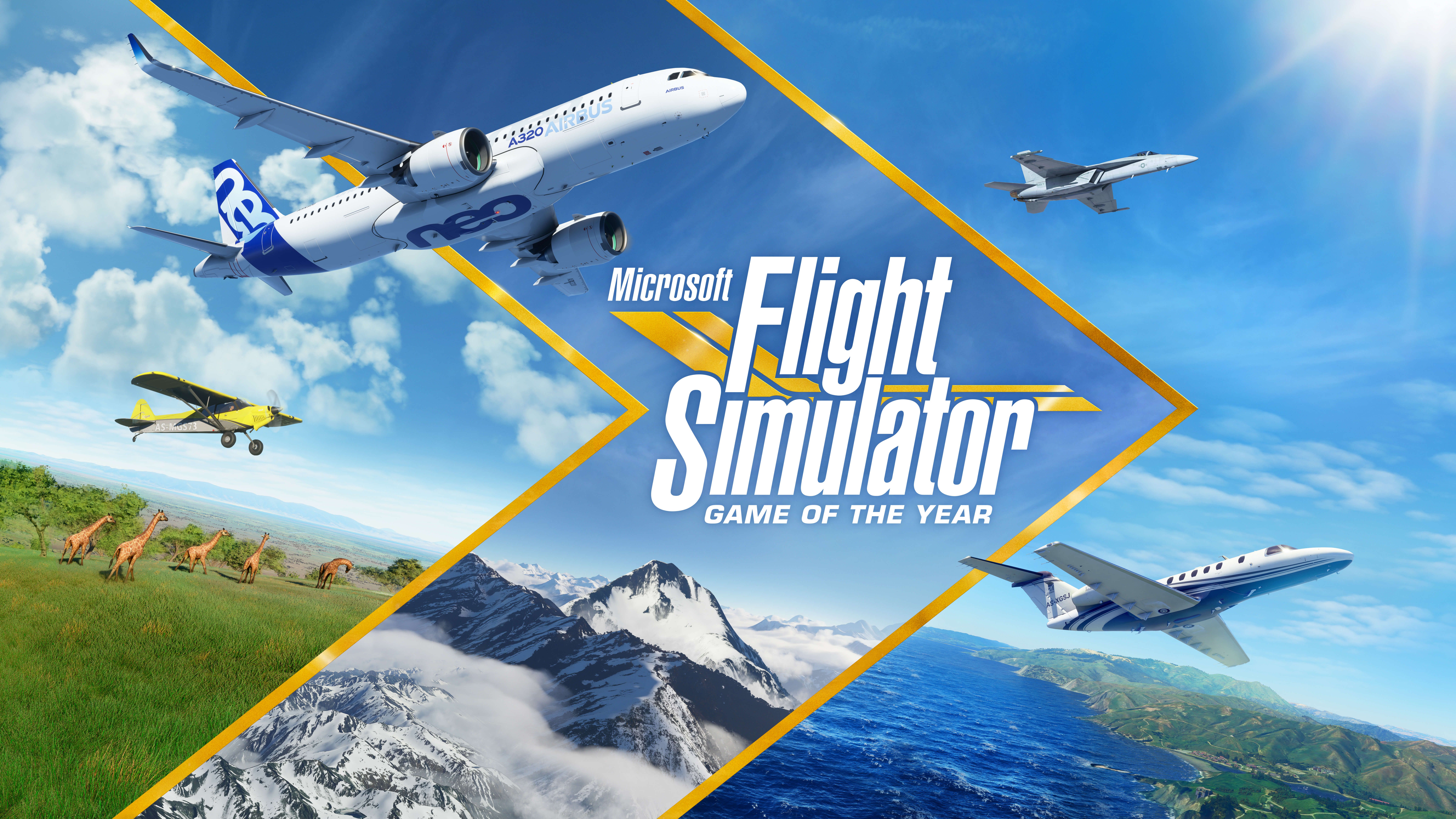 Flight Simulator GOTY Update