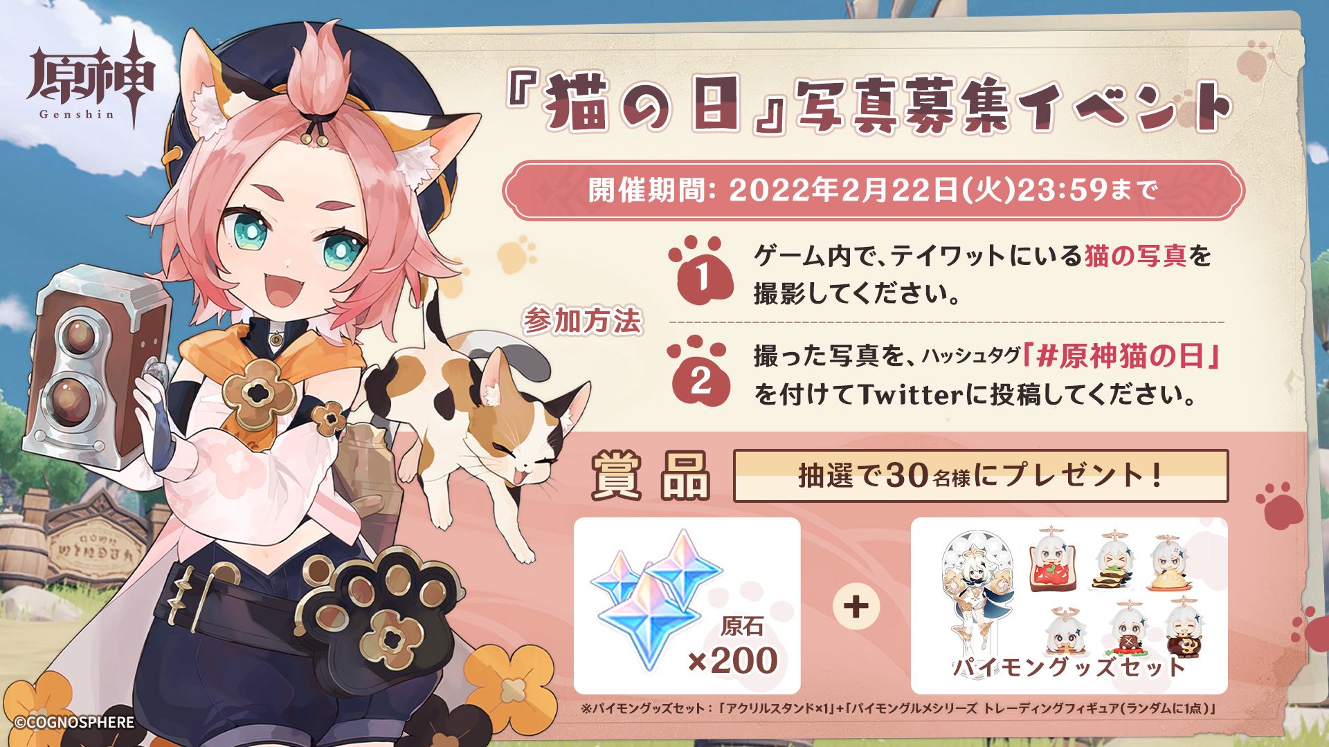 Cat Day Photo Contest in Genshin Impact Explained