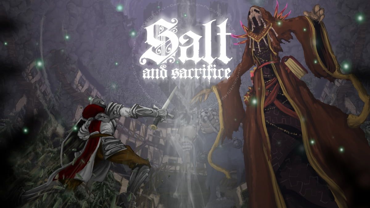 Salt and Sacrifice multiplayer