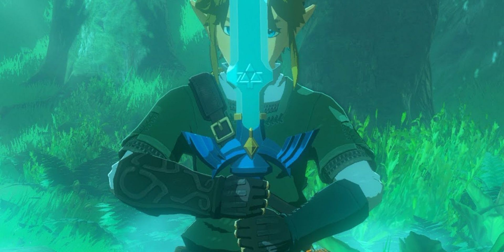 Link holding the Master Sword in Breath of the Wild