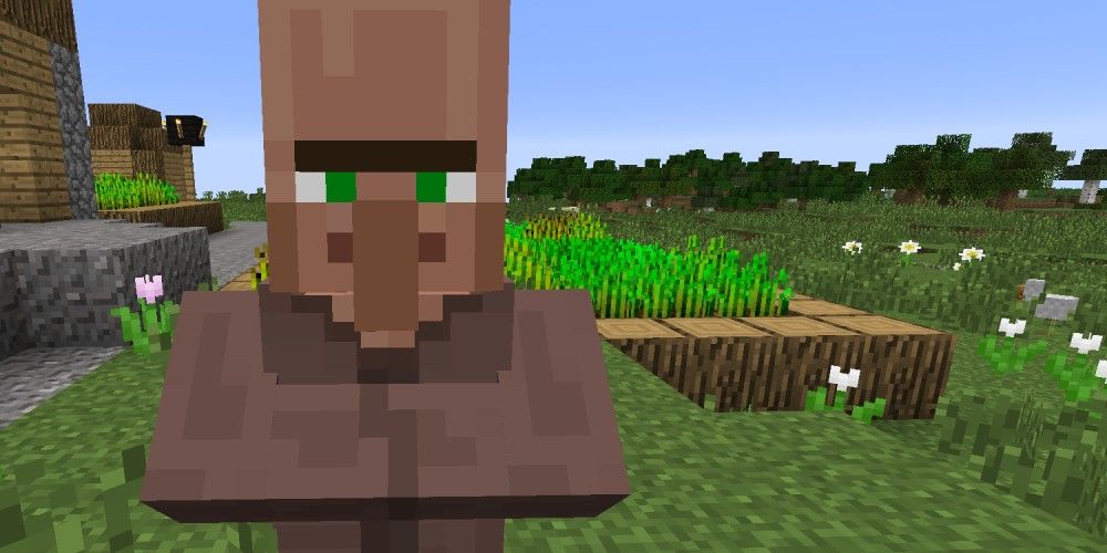 Minecraft - villager facing camera