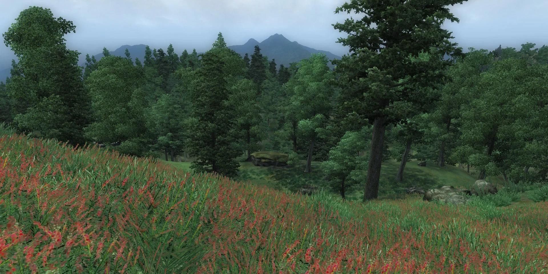 A scenic shot of the countryside in The Elder Scrolls IV: Oblivion.