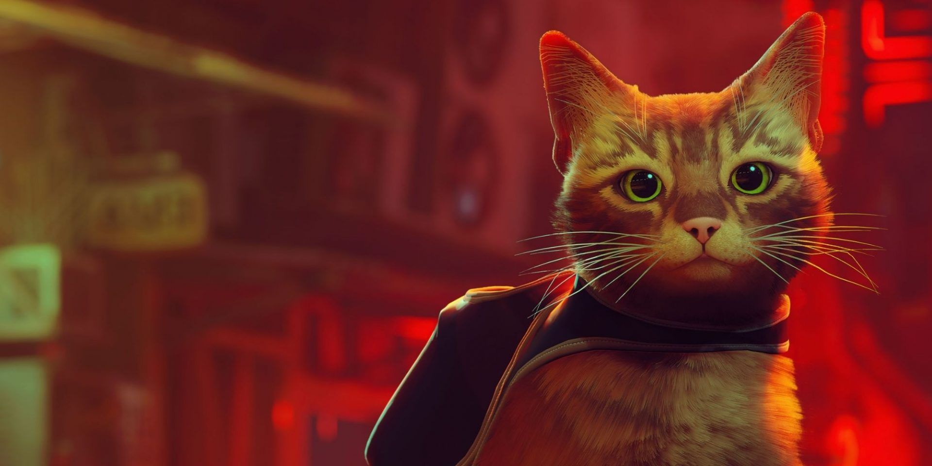 Stray Review: A Great Cat Simulator but a Frustrating Video Game