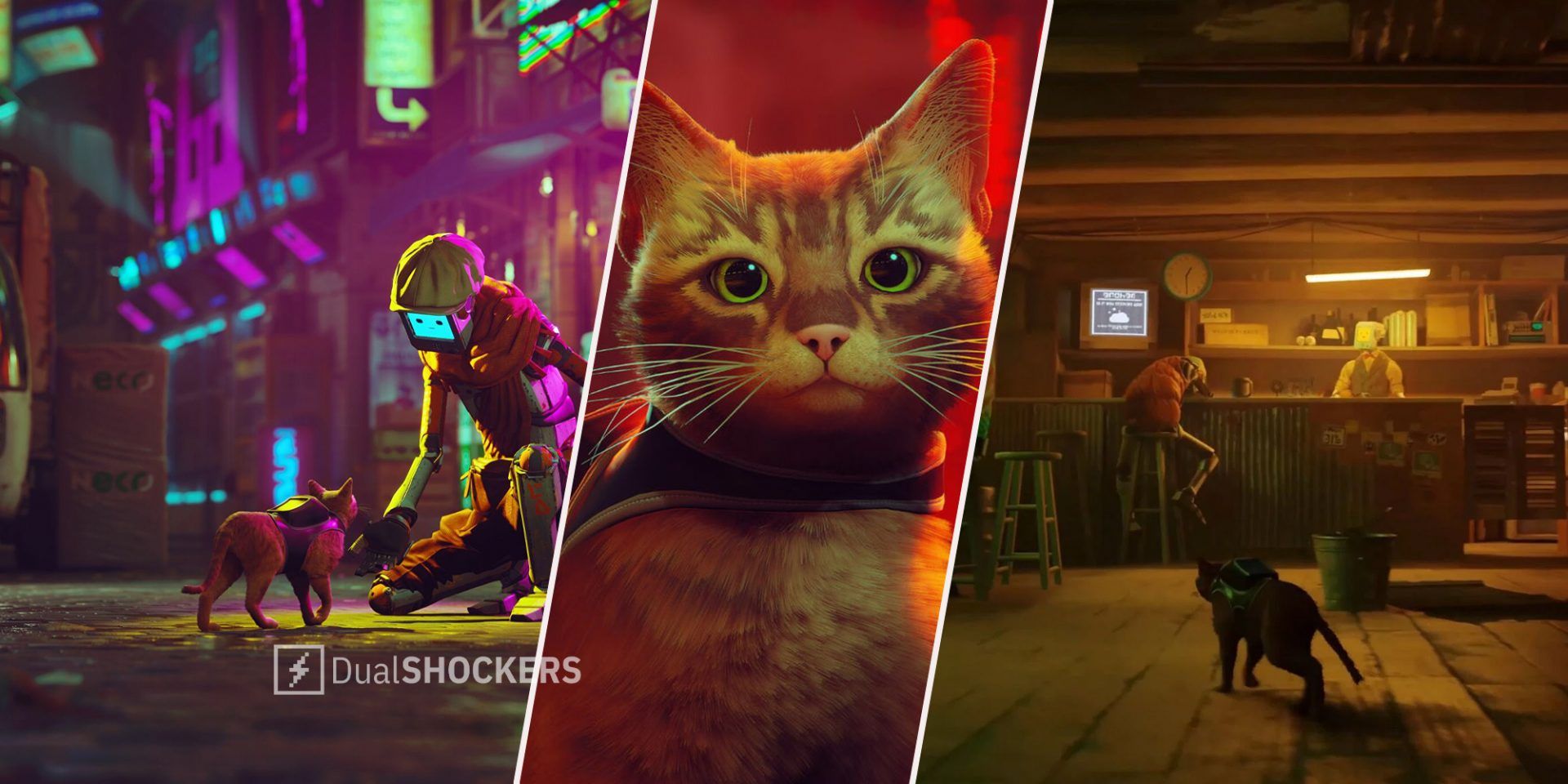 Stray: Release time and preload details for the new cat game