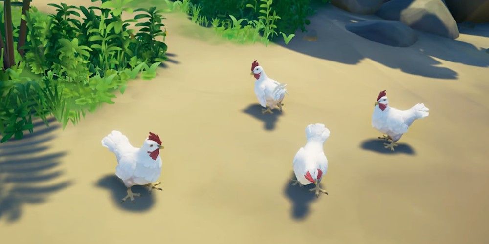 Sea of Thieves - four chickens in sand