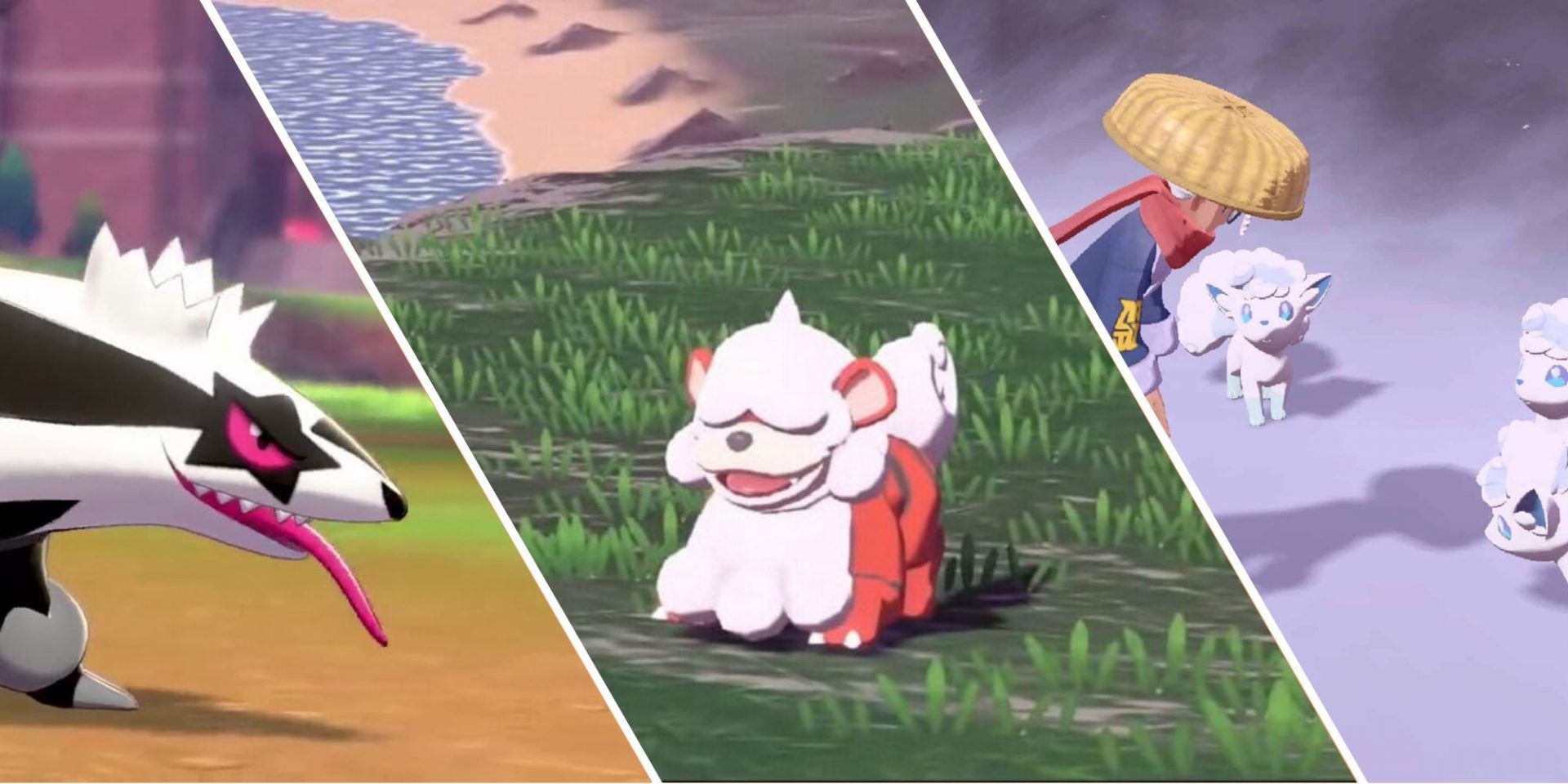 Pokémon: The 10 Best Regional Forms