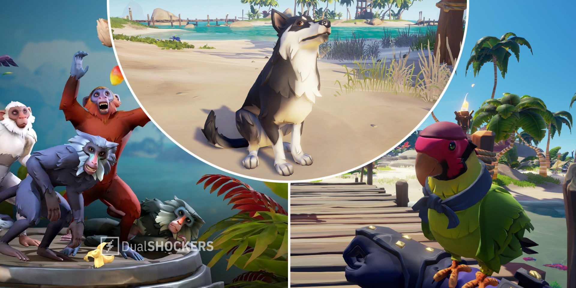 Sea of Thieves monkeys on left, dog in middle, parrot on right