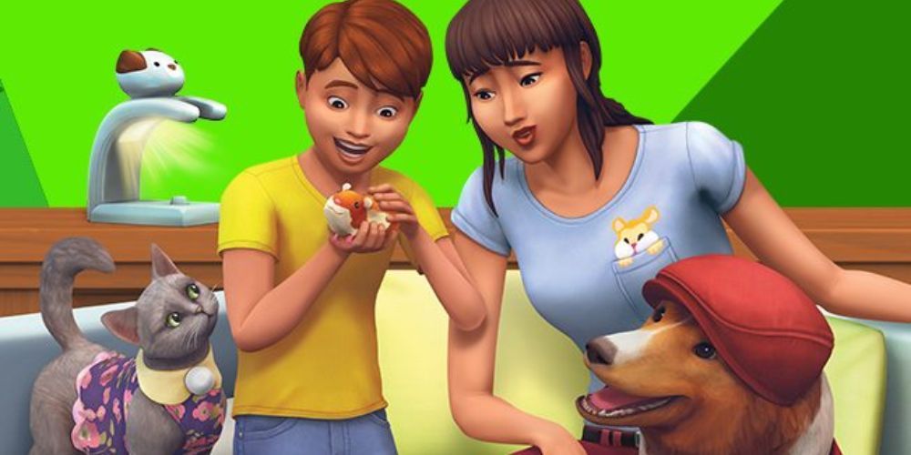 All Sims 4 Stuff Packs, Ranked