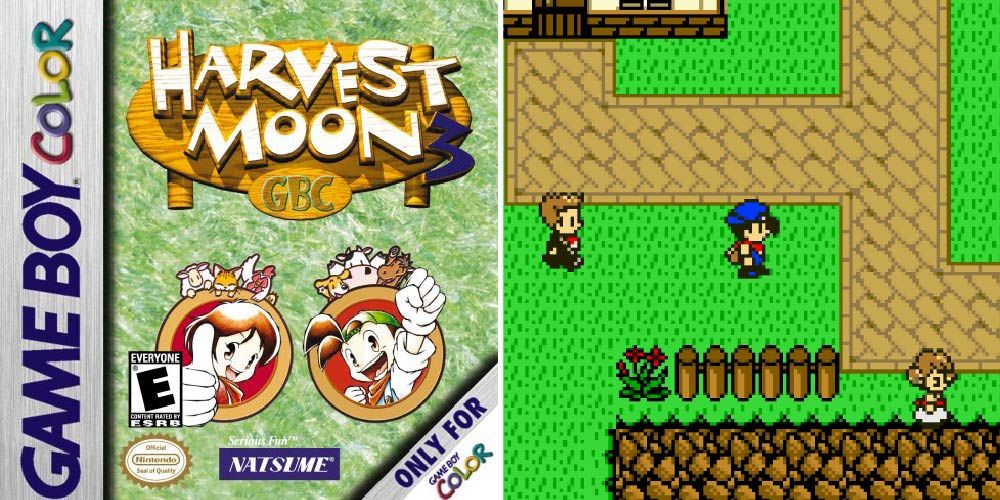 A split image with the cover of Harvest Moon 3 on the left, gameplay on the right.