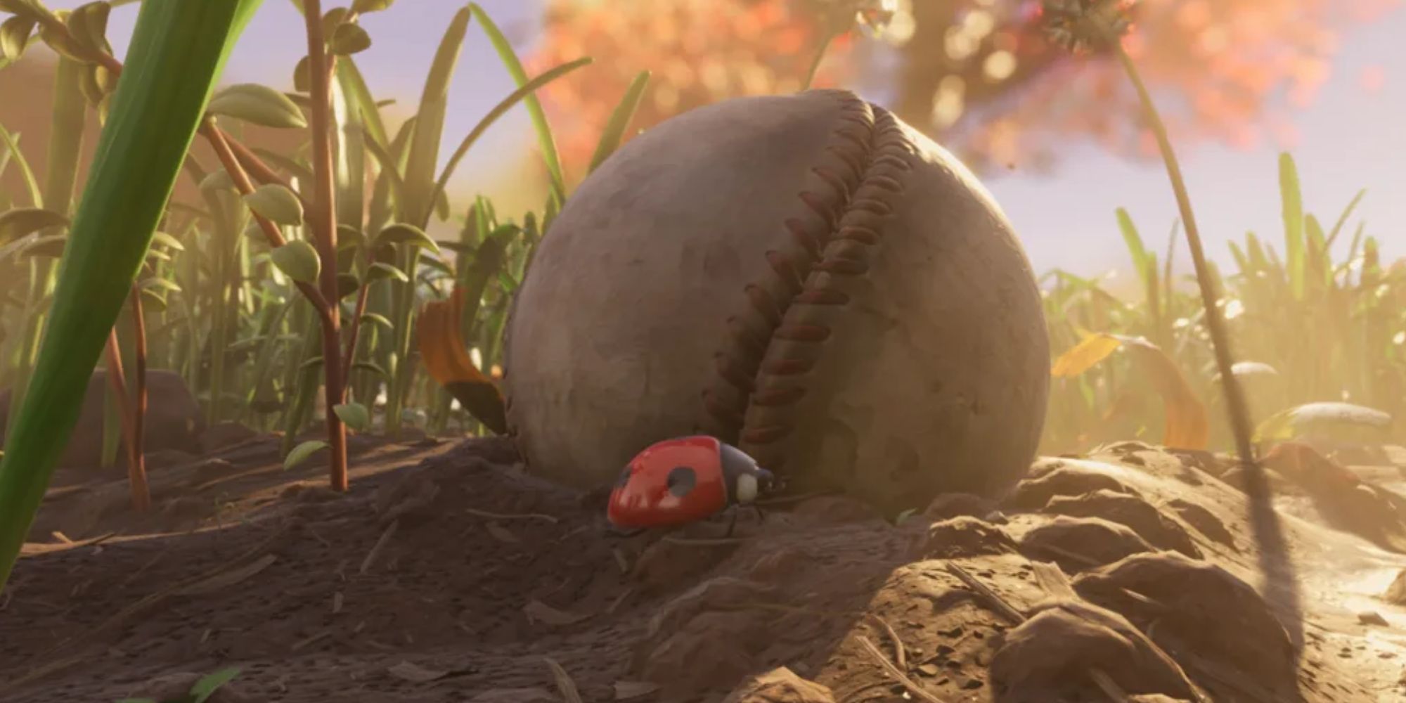 Grounded Baseball Ladybug
