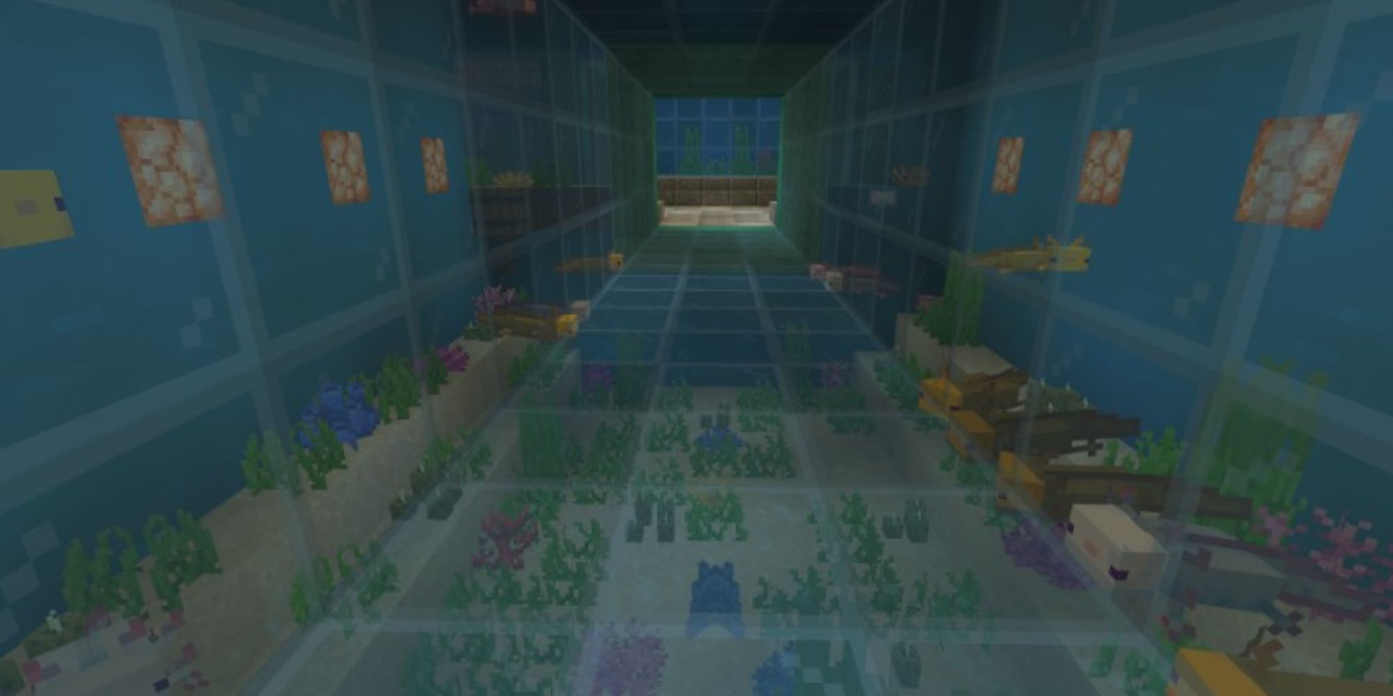 Minecraft Axolotl Locations and Farming Guide