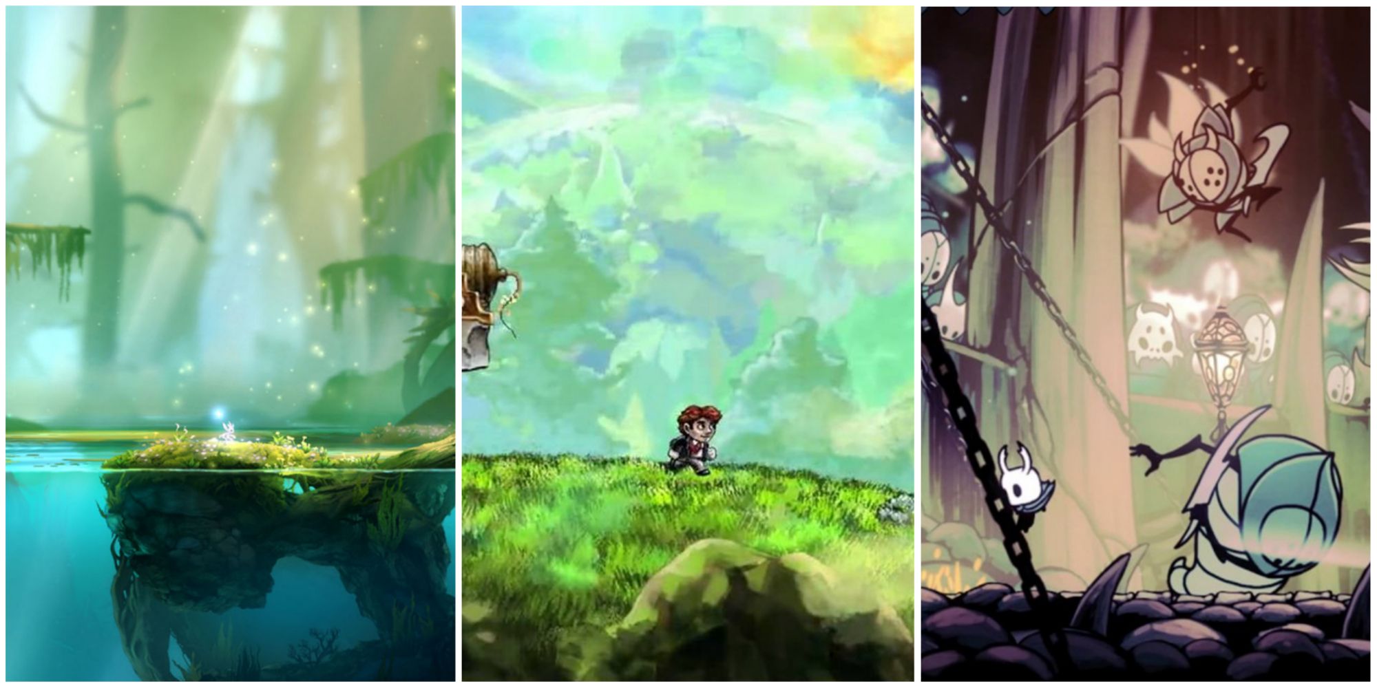 Ori And The Blind Forest, Braid, And Hollow Knight