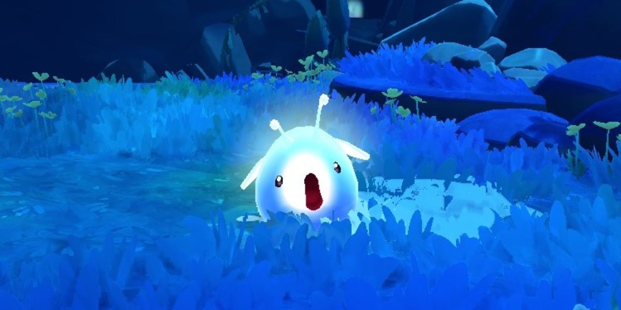 Slime Rancher 2 Basic Slimes Guide