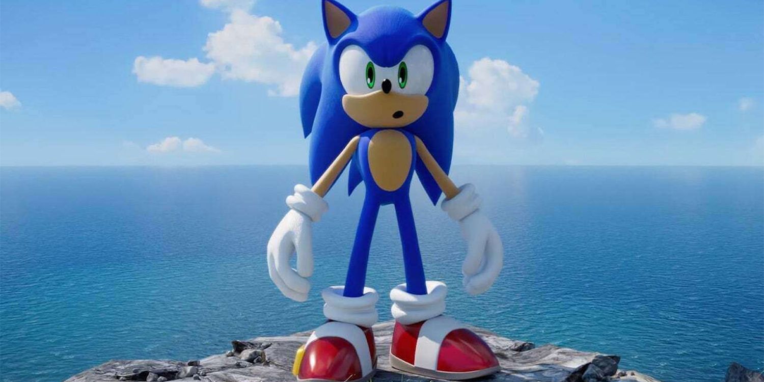 Sonic Standing On A Rock