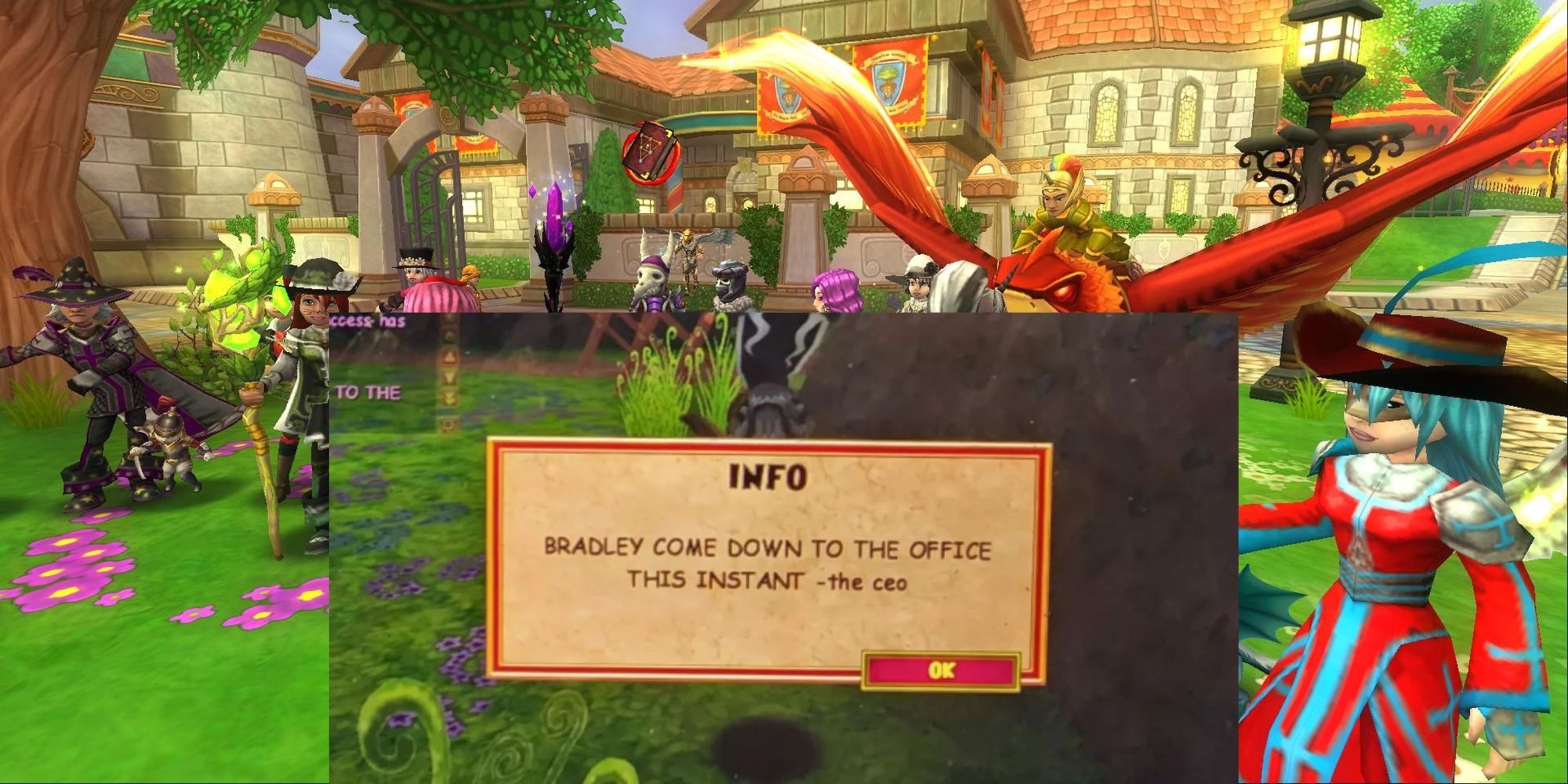 Wizard 101 Shut Down By Spammer Info Box Bradley Come Down To Office This Instant