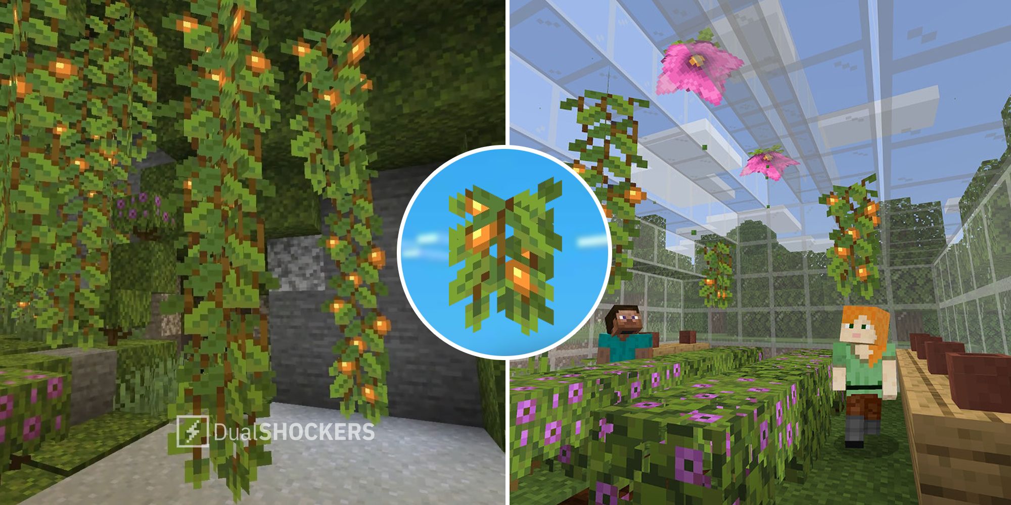 Minecraft Glow Berries and greenhouse