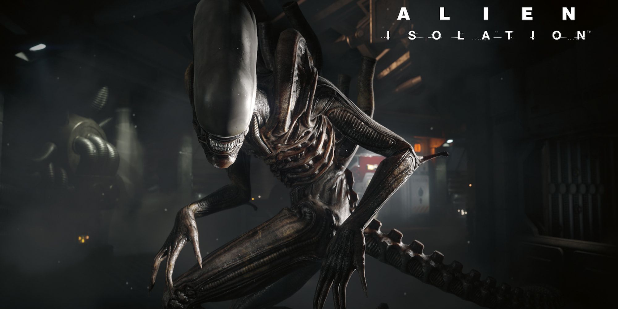 Xenomorph from Alien: Isolation staring into the camera.