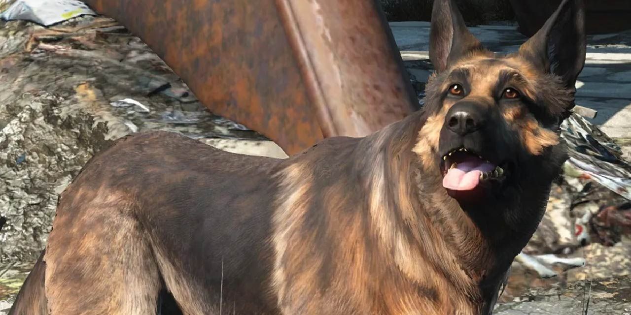 Dogmeat in Fallout 4's Commonwealth.