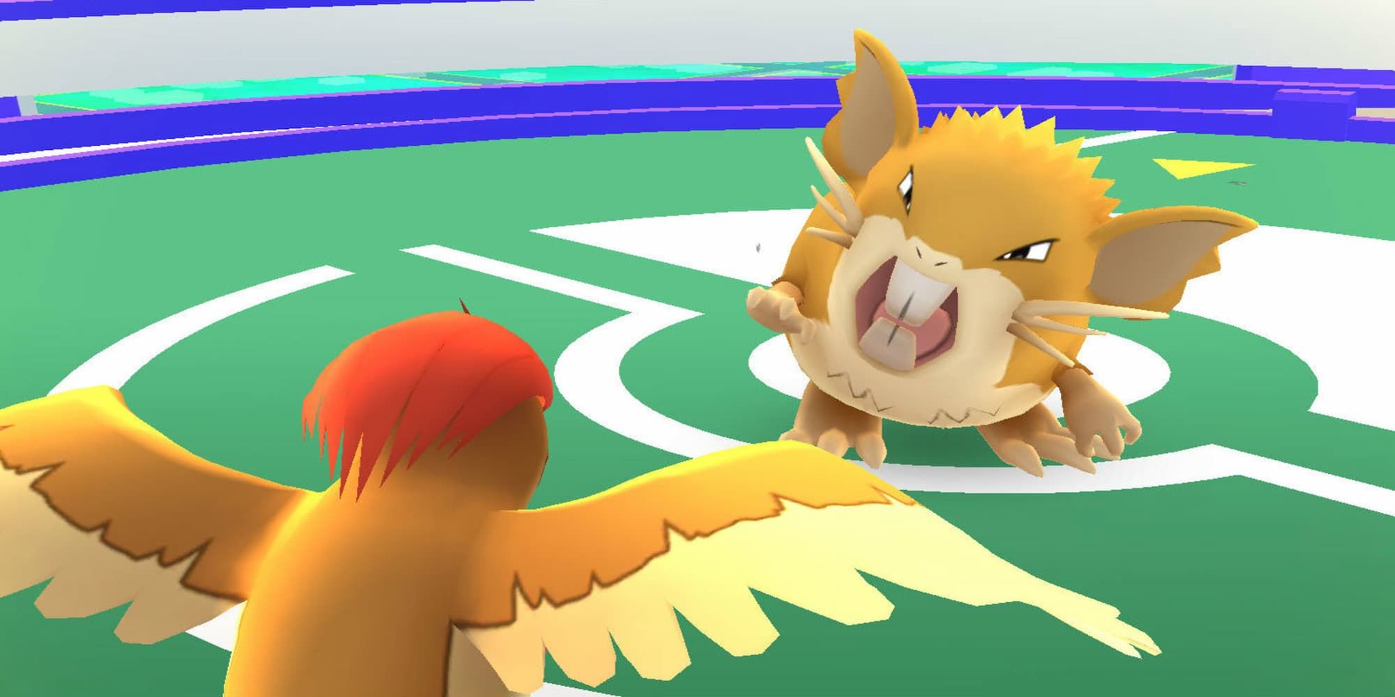 Pokemon Go Gym Battle Pidgeot fighting Raticate 