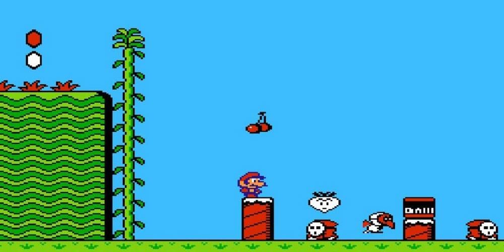 Mario standing on a log in the overworld of Super Mario Bros. 2.