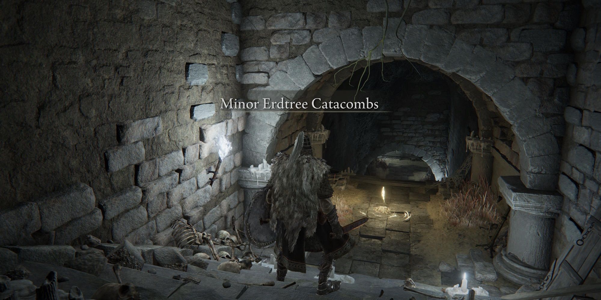 elden ring minor erdtree catacombs entrance