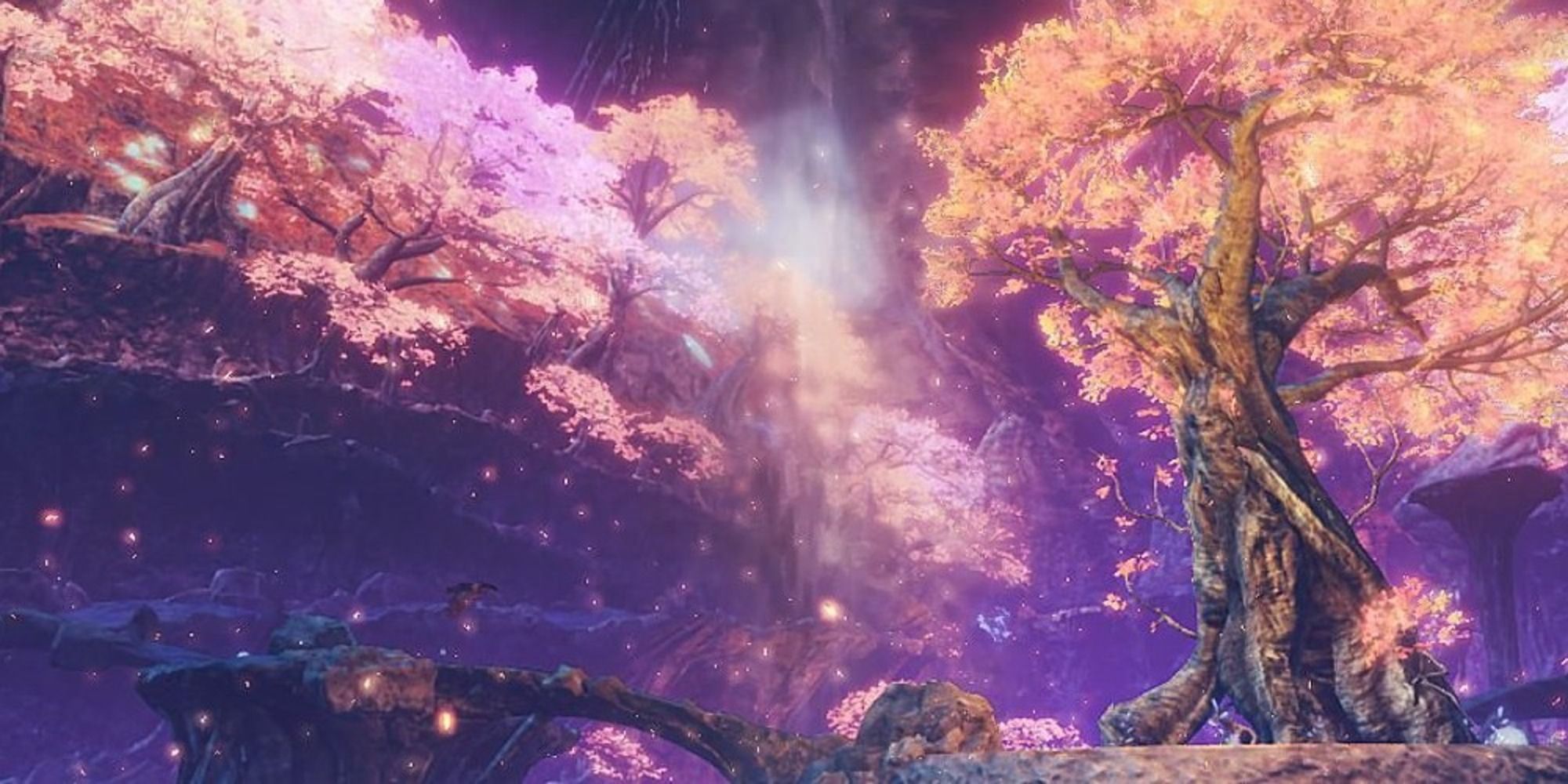 Xenoblade Chronicles 2 screenshot of Uraya stomach cherry blossoms