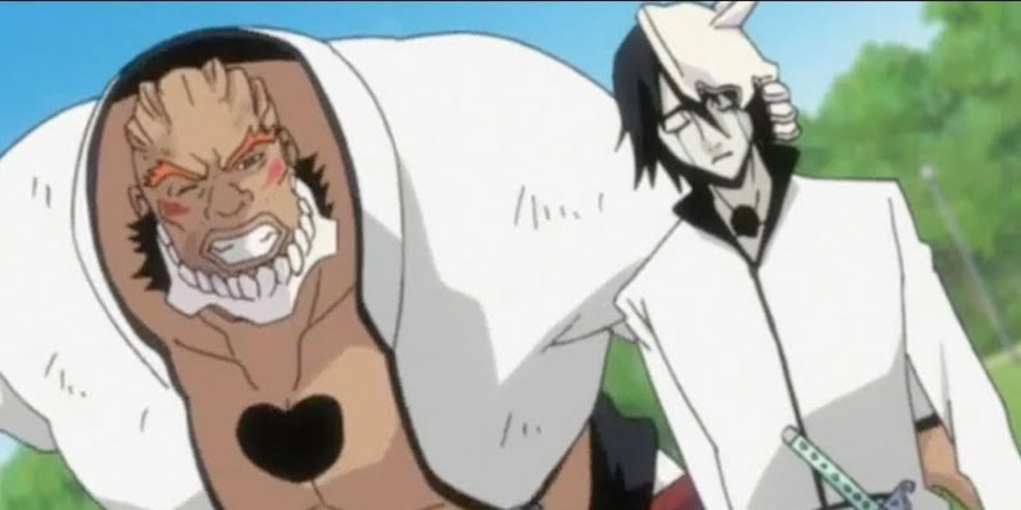 Bleach Every Canon Story Arc, Ranked