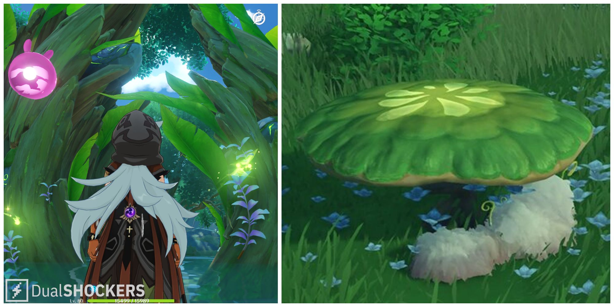 Genshin Impact All TriLakshana Creatures & How To Use Them