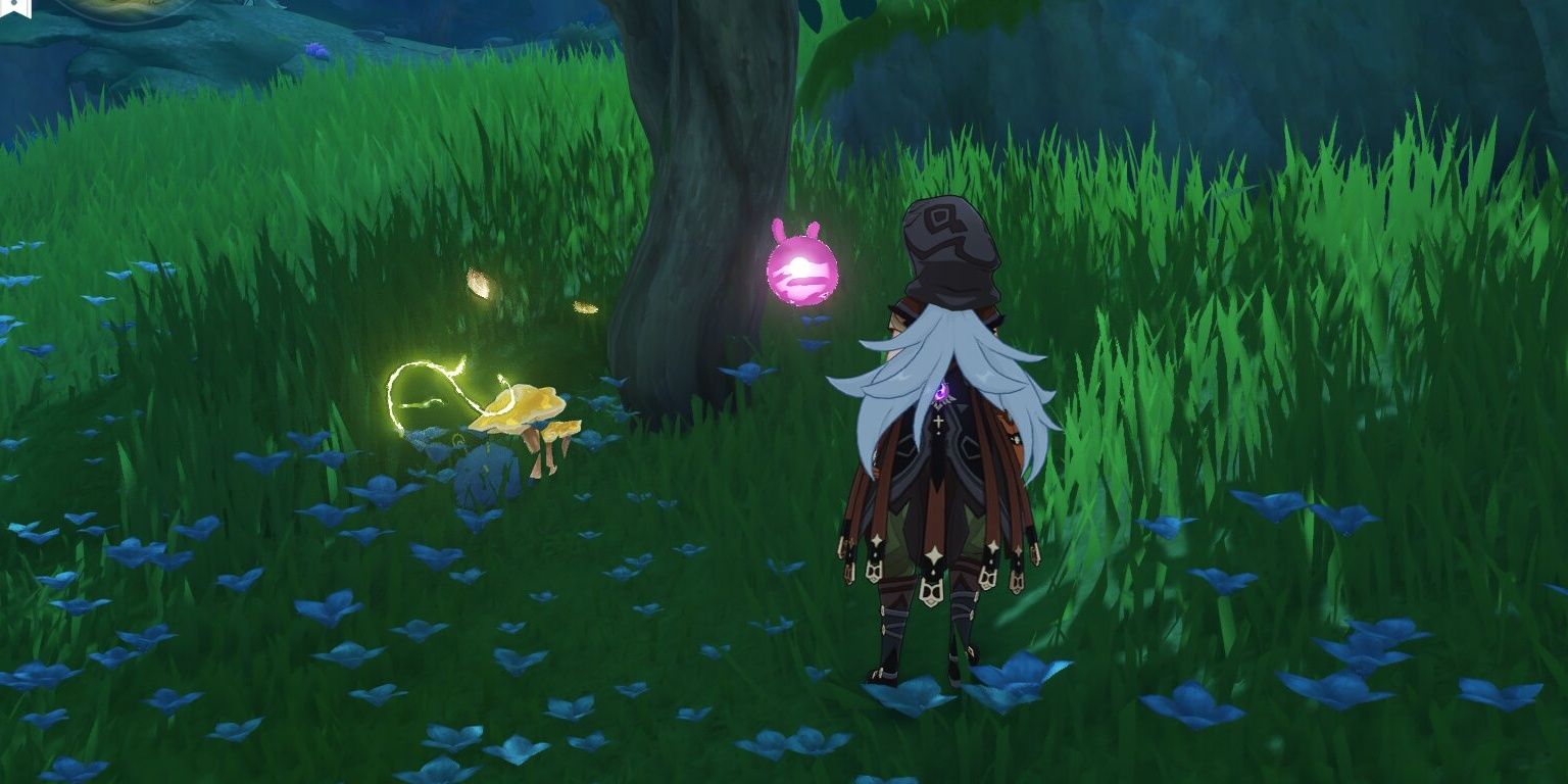 Genshin Impact All TriLakshana Creatures & How To Use Them