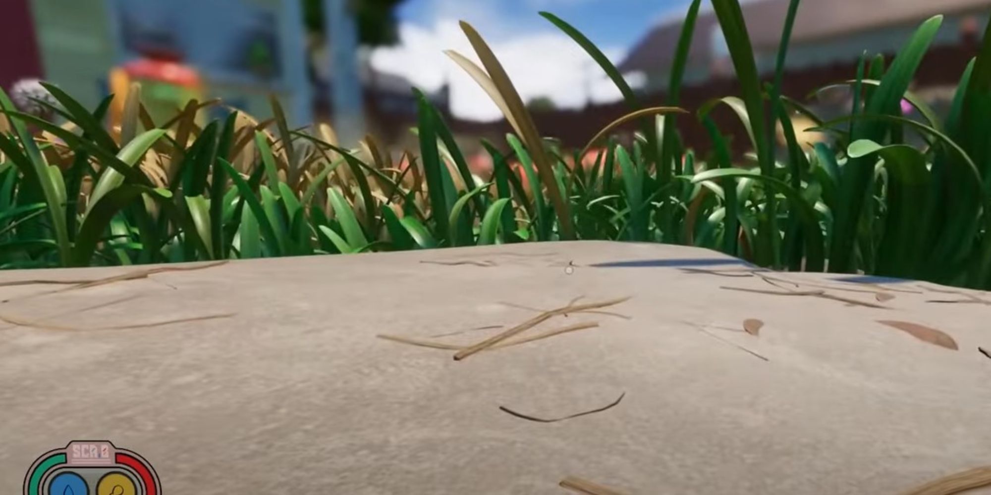 Grounded 10 Best Places To Build A Base