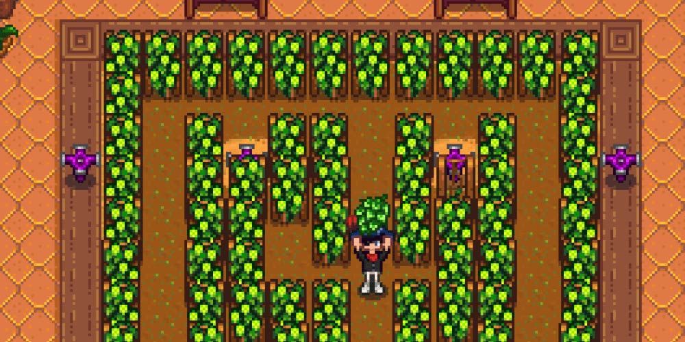 Stardew Valley How To Get & Use Pale Ale