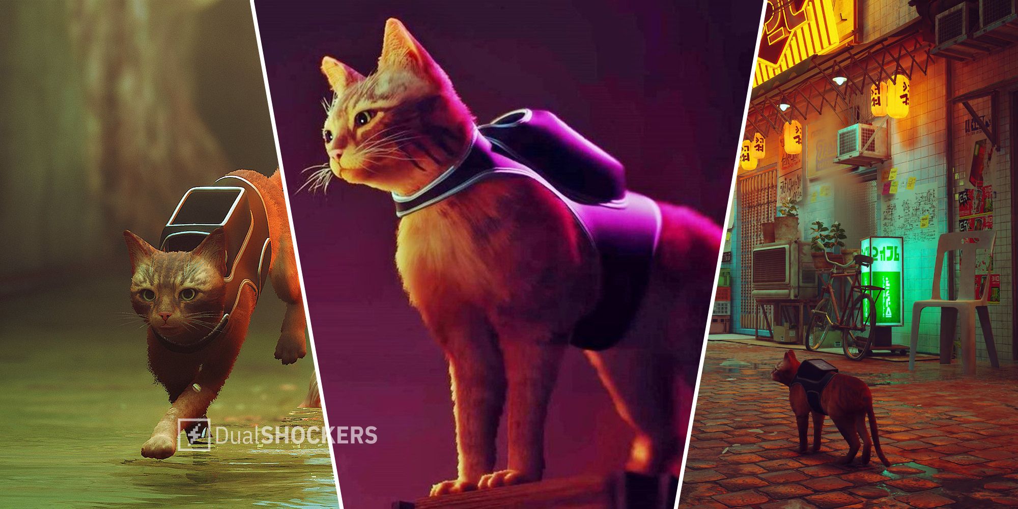 Stray: The 8 Best Cat Behaviors The Game Nailed