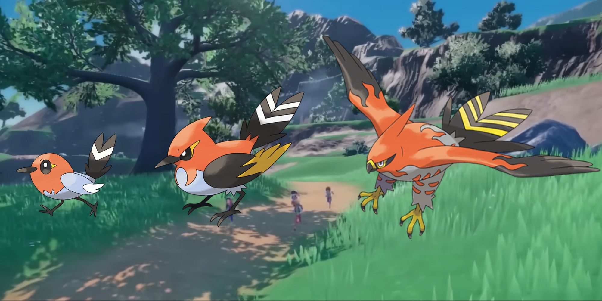 talonflame evolution