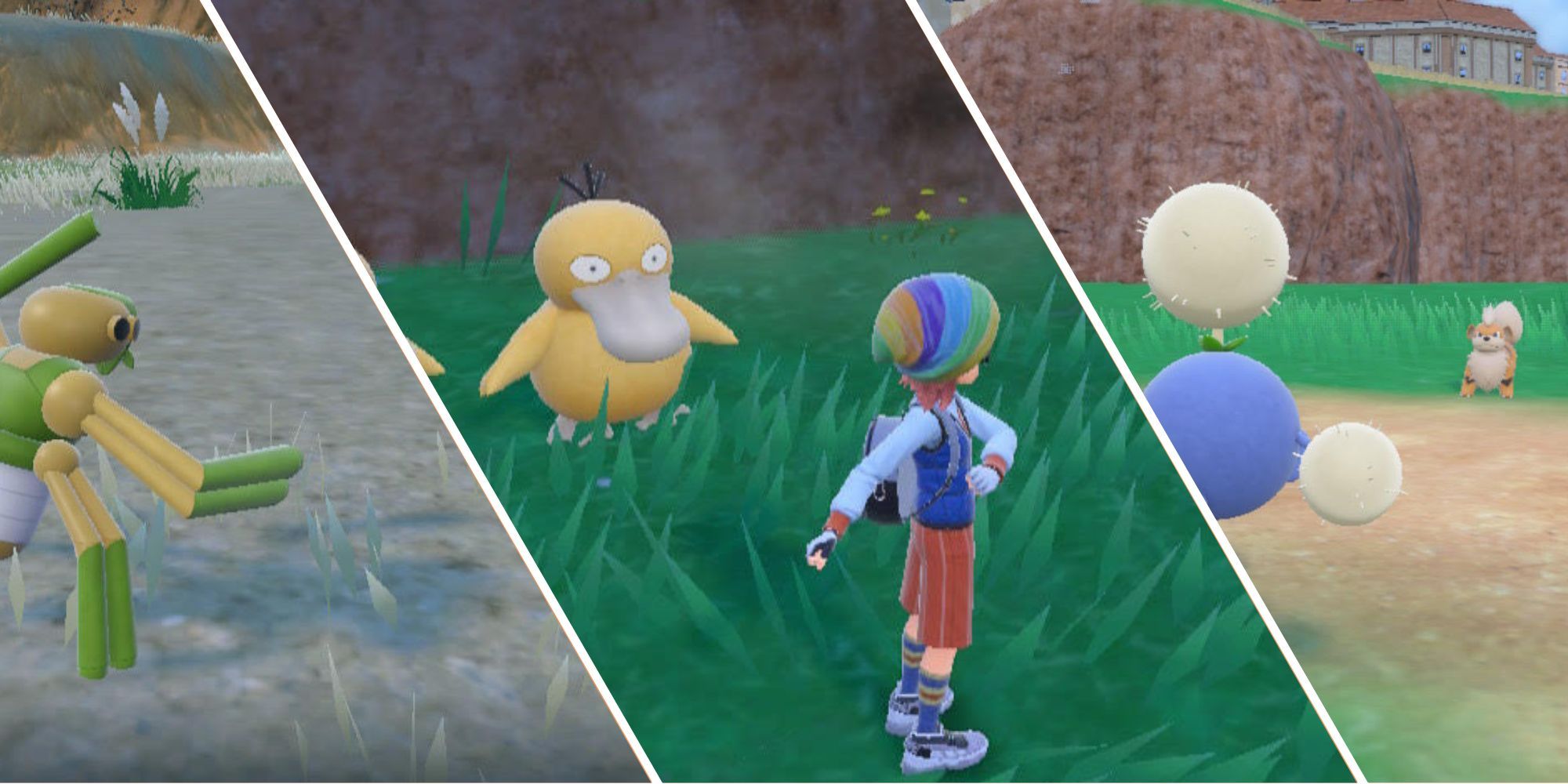 Split image of two Pokémon battles, and a wandering Psyduck in Pokémon Scarlet & Violet. 
